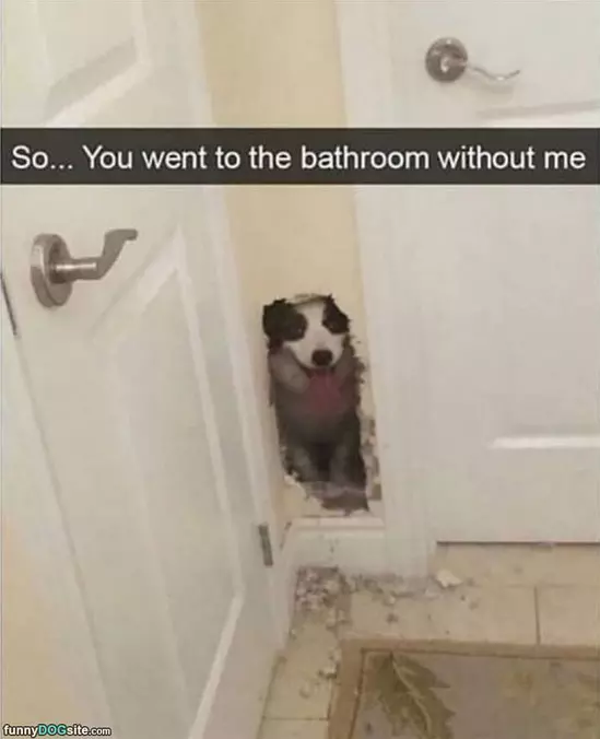 The Bathroom