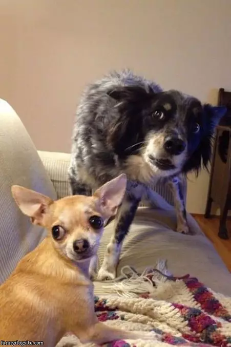 So Busted