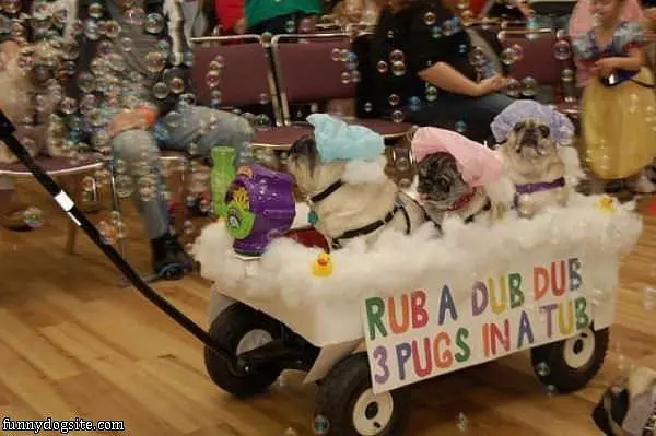 Rub A Dub