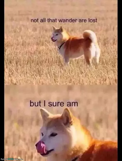 Not All Who Wander