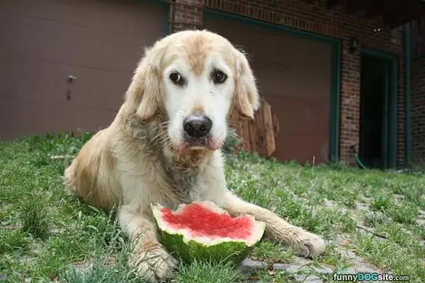 Just Let Me Eat In Peace
