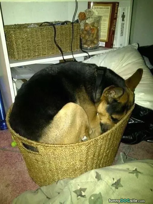 Cuddling Up