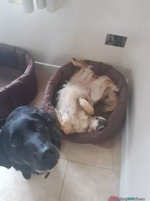 Laying On My Back