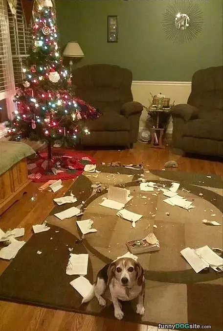 Found My Gift