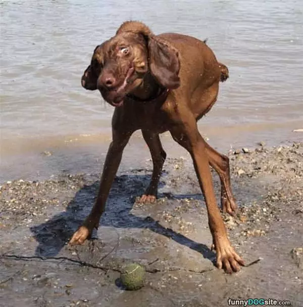 That Ball Tho
