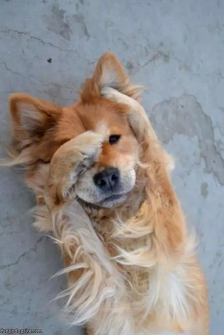 No No Cant See Me