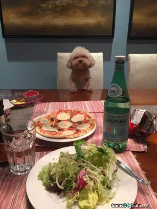 A Nice Fancy Dinner