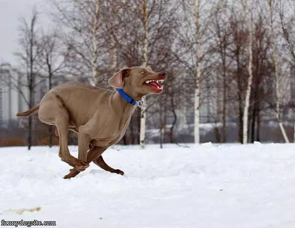 Super Running