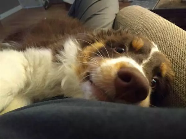 Can I Have Snacks