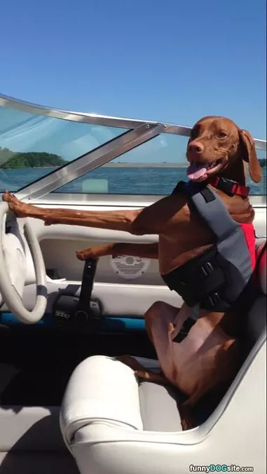 Love Boating