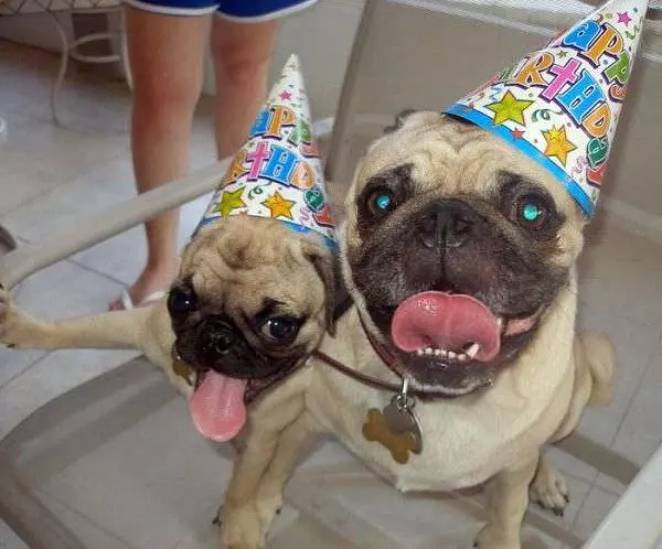It Is Are Birthdays