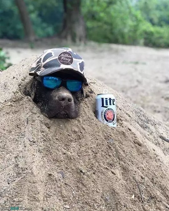 All Dug In