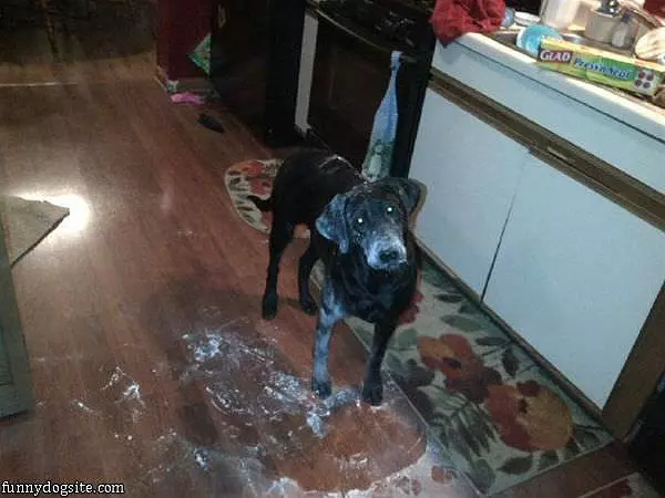 It Wasnt Me