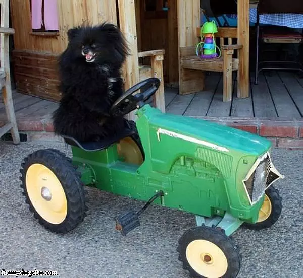 Ready For A Ride