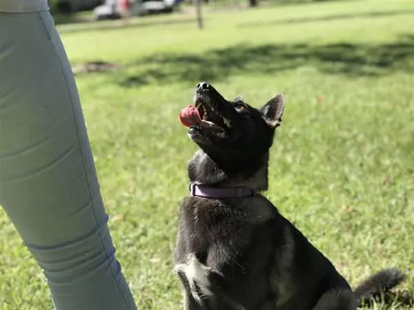 Can You Throw The Ball