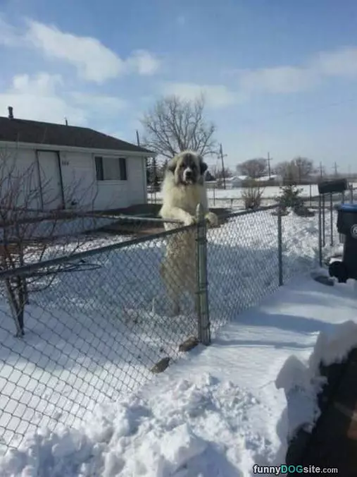 Free Hugs