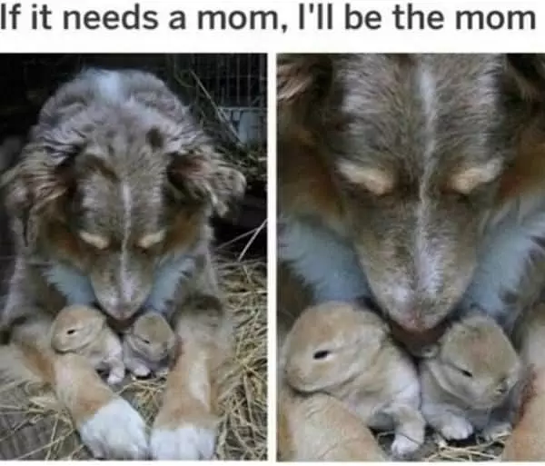 I Can Be A Mom