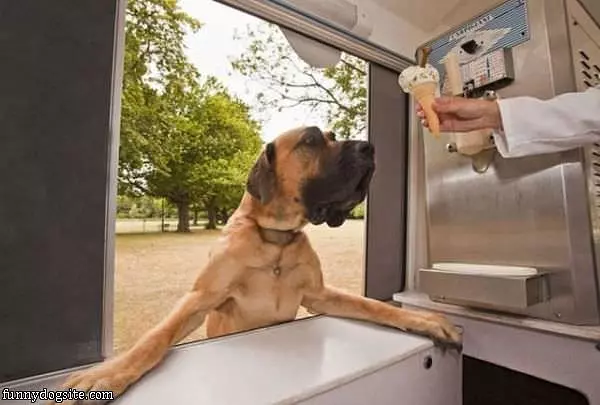 I Want Some Ice Cream