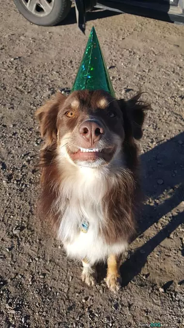 Happy Birthday To Me