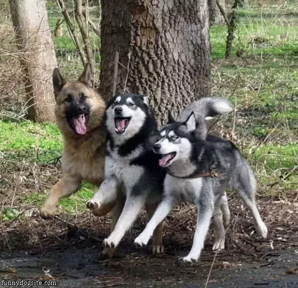 Three Amigos