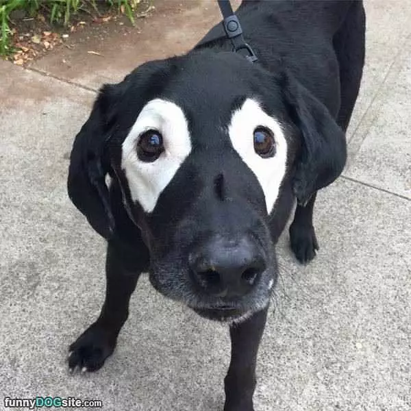 Eye Patches