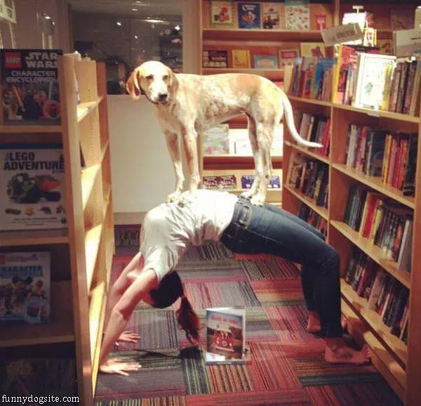 Dog Balancer