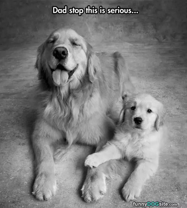 Dad Stop It