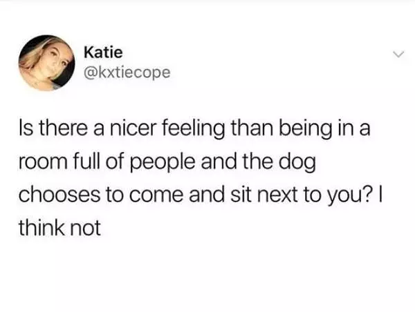 Is There A Nicer Feeling