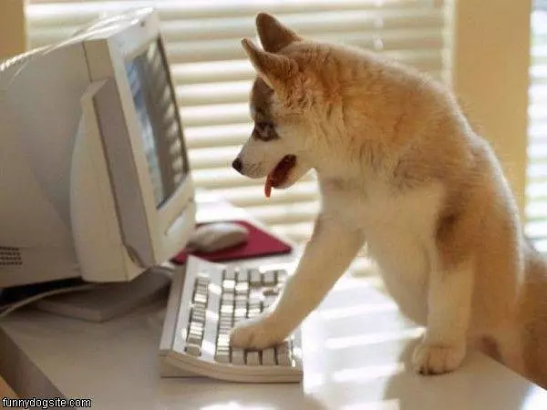 Checking Email