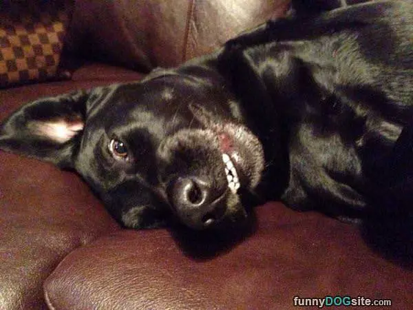 Cute Little Smile