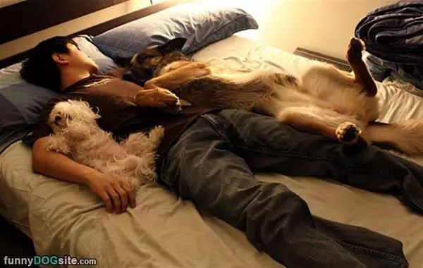 Its Nap Time