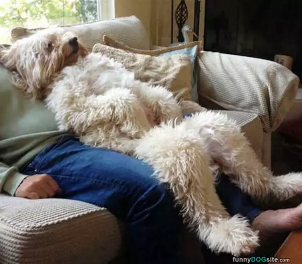 Relaxxxxxxx