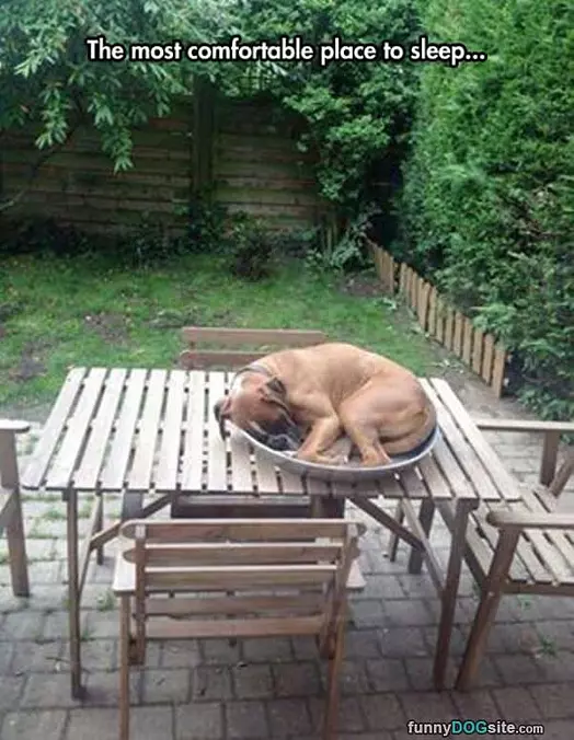 Great Place To Sleep