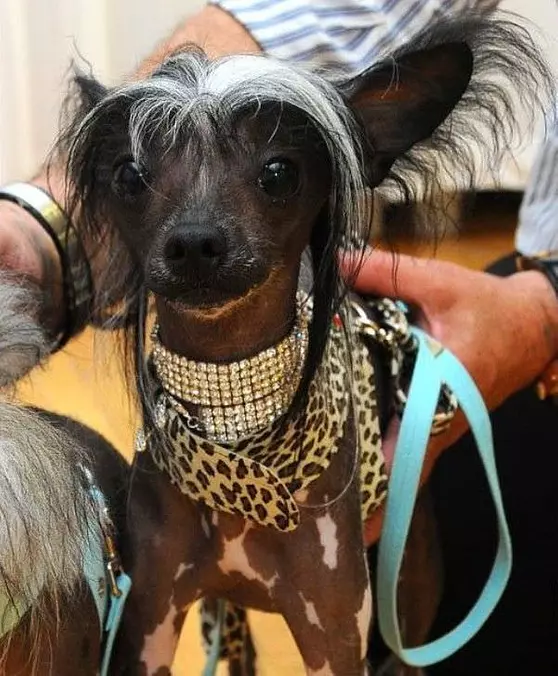 Bling Bling
