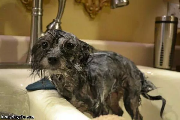 Wet Bath Time