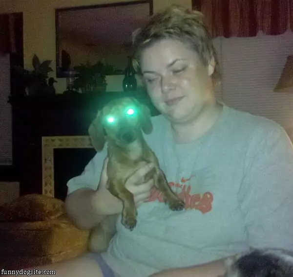 Take Me To Your Leader