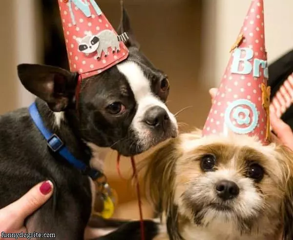 Happy About Birthday