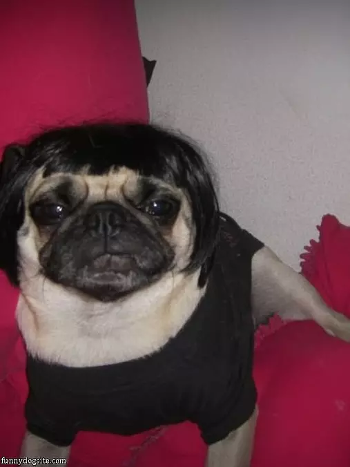 Nice Wig