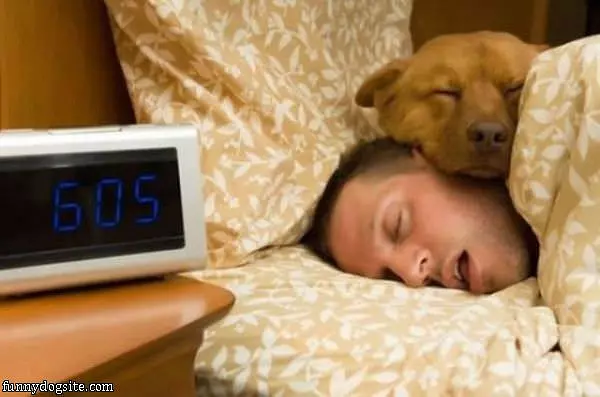 Its Sleep Time