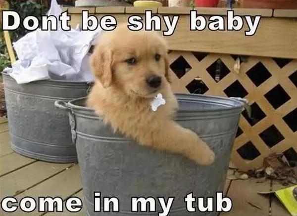 Dont Be Shy
