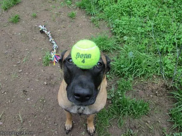 Great Balance