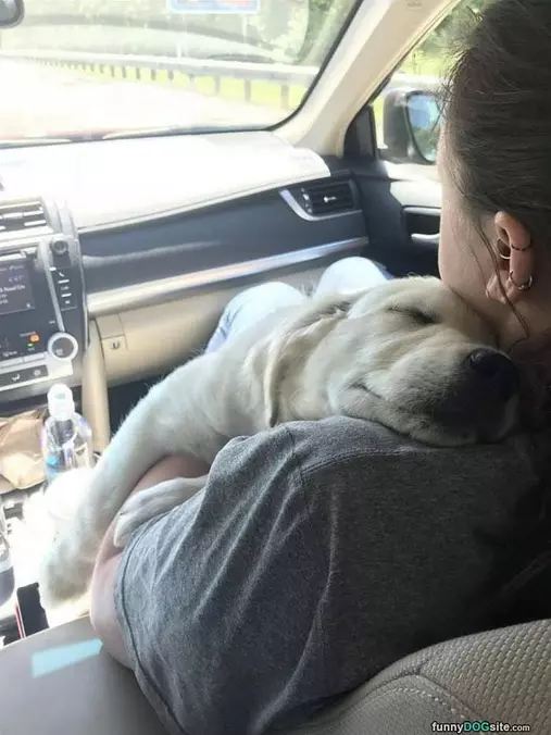 Hug It Out