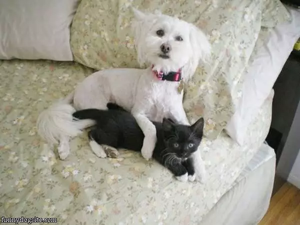 Hanging Out Together