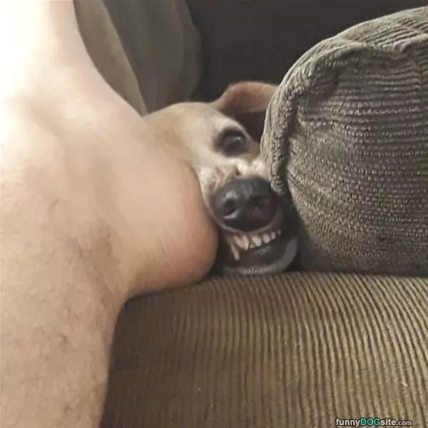 Rfffffff