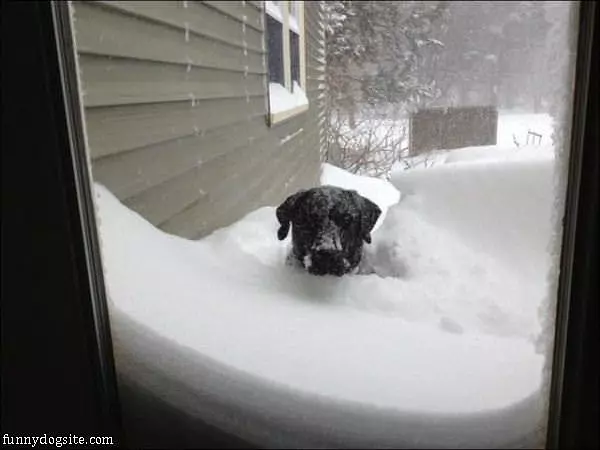 Lots Of Snow Over Here