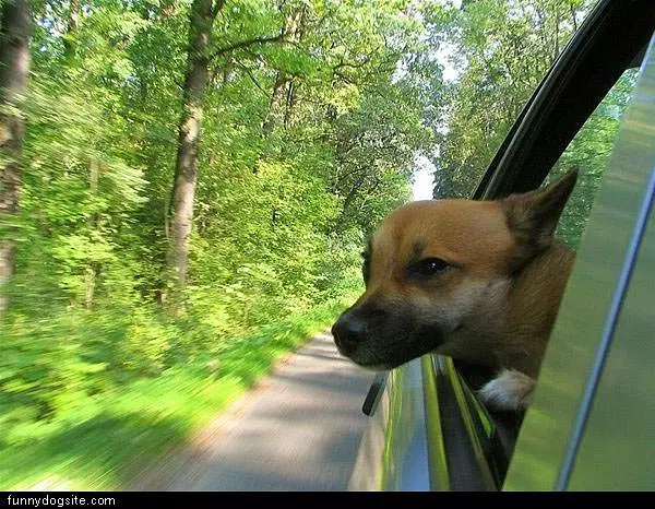 Going For A Ride