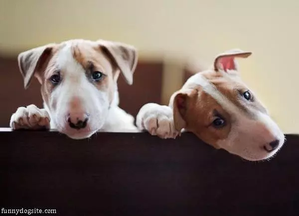 Can We Have Out