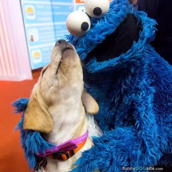 With Coookie