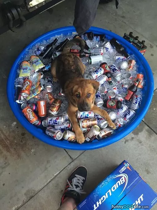 These Are Mine Now