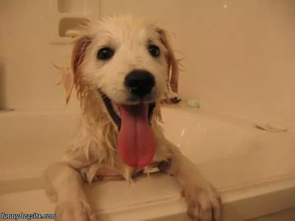 I Got A Bath